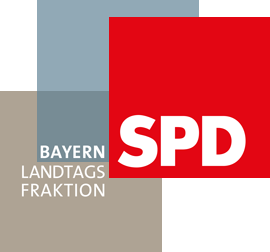 Sportentwicklungsplan für Bayern: Ein Fachgespräch mit Prof. Dr. Robin Kähler im Bay. Landtag