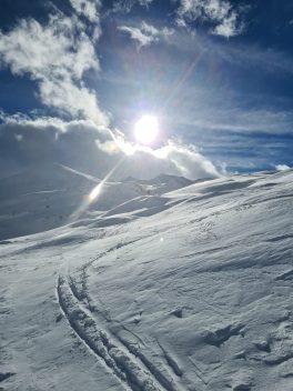 Ski Panorama